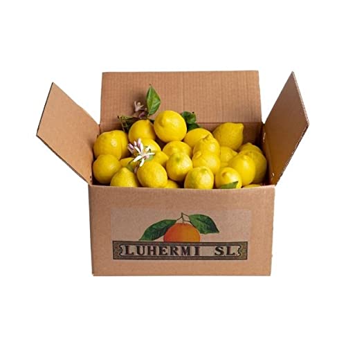 Limones Frescos ⎜Caja de 5 Kg ⎜De Valencia⎜Gourmet ⎜Para Cocinar y Zumos