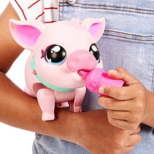 Little Live Pets 674 26366 EA Pet Piggly | Suave y Jiggly Interactive Toy Pig Que Camina, Baila y Nuzzles. 20+ Sonidos y reacciones. Baterías Incluidas. para niños de 3 años +, Multicolor