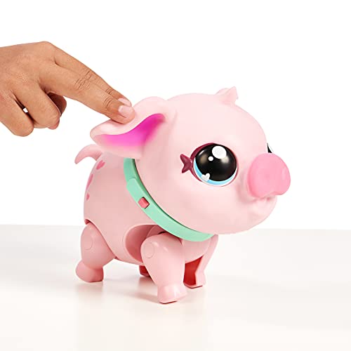 Little Live Pets 674 26366 EA Pet Piggly | Suave y Jiggly Interactive Toy Pig Que Camina, Baila y Nuzzles. 20+ Sonidos y reacciones. Baterías Incluidas. para niños de 3 años +, Multicolor