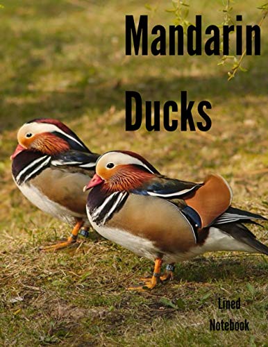 Mandarin Duke Lined Notebook