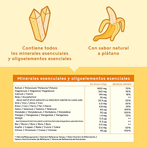 Minerales y Oligoelementos - Sabor Plátano - Complejo Mineral Natural con Esencia de Shilajit Primordial - 450g Polvo