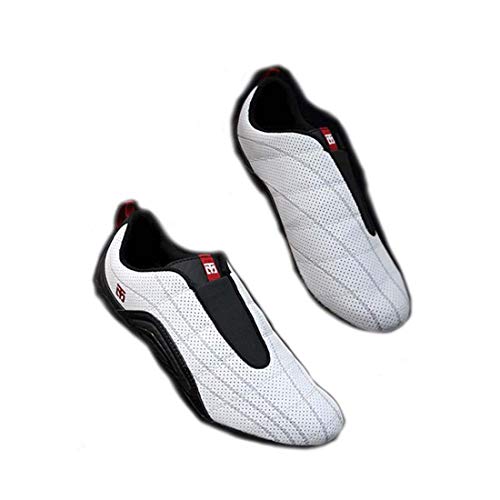 Mooto Korea Taekwondo Shoes Spirit S2 Fighter MMA Artes Marciales Hapkido Karate Gym School Academy Competición de Entrenamiento (White, 235(US4.5-For Youth))