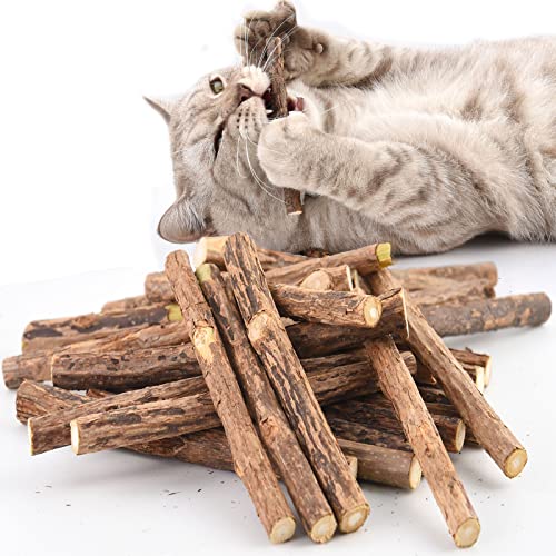 OneBarleycorn - Palitos de Catnip para Gatos, Juguete para morder para Gatos Natural Matatabi Dental, Paquete de 20 Unidades