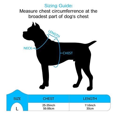 PENGDA Arnés Perros Sin Tirón Chaleco para Mascotas Grande Arnés para Automóvil con Asa Malla Reflectante Transpirable Ajustable Cómodo para Entrenamiento al Aire Libre o Caminar Ligero(Plata)