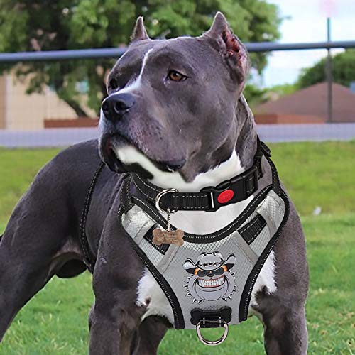 PENGDA Arnés Perros Sin Tirón Chaleco para Mascotas Grande Arnés para Automóvil con Asa Malla Reflectante Transpirable Ajustable Cómodo para Entrenamiento al Aire Libre o Caminar Ligero(Plata)