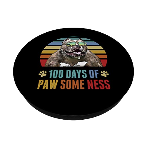 Pitbull Dog 100 Días de Escuela Divertido PopSockets PopGrip Intercambiable