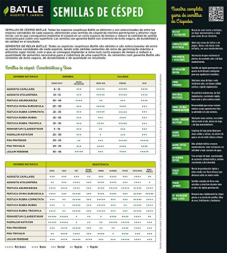 Poa Pratensis Certificada