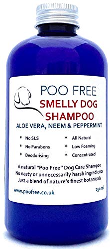 POO FREE 99% Natural CHAMPÚ para Perro HEDIONDO - Aloe Vera, NEEM & Menta - 250ml pH Equilibrado. Sin Sulfatos, Sin Parabenos, Sin Silicona. Concentrado, Limpia, Calma, Hidrata, Alivia.