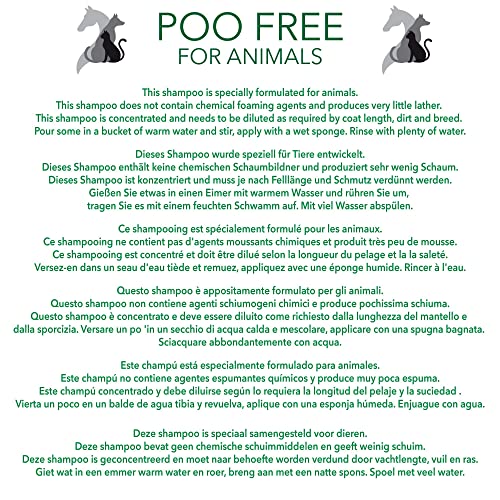 POO FREE 99% Natural CHAMPÚ para Perro HEDIONDO - Aloe Vera, NEEM & Menta - 250ml pH Equilibrado. Sin Sulfatos, Sin Parabenos, Sin Silicona. Concentrado, Limpia, Calma, Hidrata, Alivia.