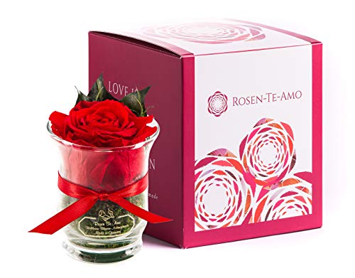 Rosen-Te-Amo | Rosa eterna roja perfumada | Maceta de Vidrio | Caja Regalo refinada || Arreglo Flores preservadas Hecho a Mano con follaje 100% Natural: Regalos Originales Mujer o Decoracion hogar