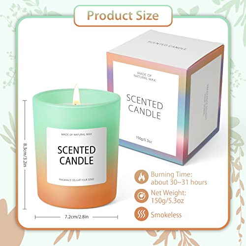 Scent-Hi Vela Perfumada, Afrutados y Florales, Cera de Soja Natural, Caja Regalo Para Baño, Casa, Decoración del Hogar, Vela de Lujo Regalo para Mujer