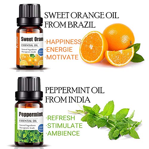 Set de aceites esenciales, LangRay aceite de fragancia de aromaterapia 8x10ml Aceite esencial para aroma difuso con árbol de té lavanda hierba de limón menta naranja dulce eucalipto romero incienso