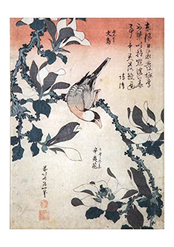 Spiffing Prints Katsushika Hokusai - Póster con diseño de gorrión y magnolia, tamaño pequeño, mate