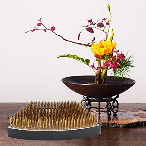 TAKE FANS Arc-Shaped Flower Kenzan Holder Flor Arreglo Aguja Pin Arreglo Accesorios De La Herramienta De Arreglo, L