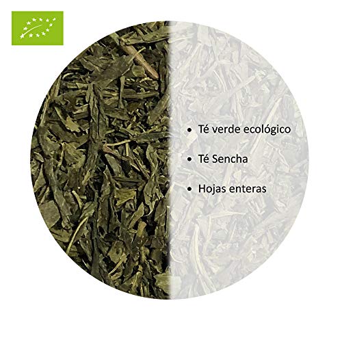 Tealand | Te Verde Sencha Orgánico | Hojas Sueltas, 100g | Te Ecologico y Natural | Aroma fresco, suave y ligero | Te verde Detox, diurético