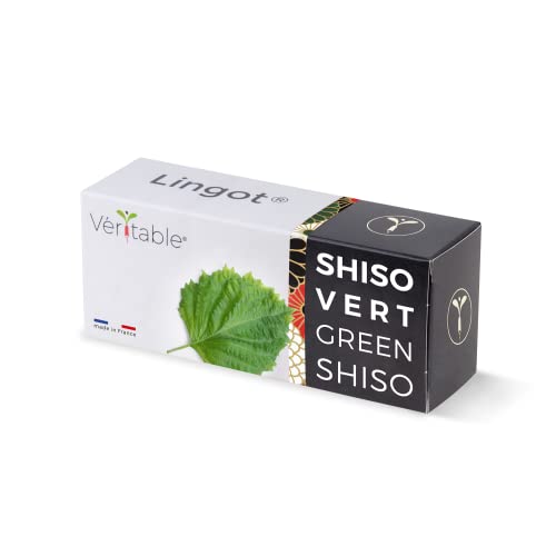 Véritable Lingot® Shiso Verde Bio - Compatible con Huerto di Interior Exky® - Recarga Lista para Usar - Sustrato con Semillas integradas