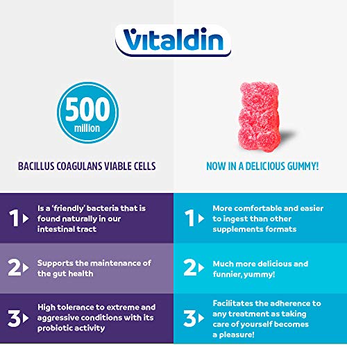 VITALDIN Probiótico gummies – 500 millones de cepas de Bacillus Coagulans por dosis + Vitamina B12 – 60 gominolas (suministro para 1 mes); sabor a Frutas – Flora Intestinal – Apto para Niños & Adultos