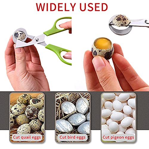 VOSSOT Tijeras para huevos de codorniz, de acero inoxidable, pequeñas tijeras para huevos, para huevos de codorniz, herramienta de cocina, tijeras de cáscara de huevo, abridor de huevos de codorniz