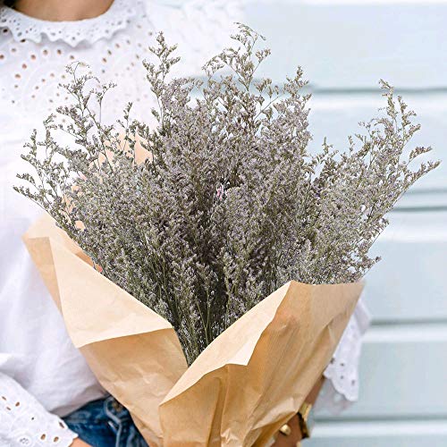 XHXSTORE 6pcs Ramo de Flores Secas Naturales Flores Seca Eucalipto y Craspedia secas para San Valentín Jarrones Hogar Bodas Fiestas Mesa arreglo Floral Manualidades