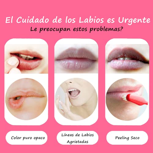 2 x Máscara de Labios, 40Pcs Mascarilla para los Labios, 2 Cajas de Parches Labiales Hidratantes Nutritivos, Almohadillas Labiales Hidratantes para Antiarrugas, Antienvejecimiento Hidrata los Labios