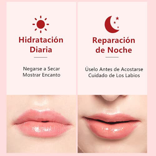 2 x Máscara de Labios, 40Pcs Mascarilla para los Labios, 2 Cajas de Parches Labiales Hidratantes Nutritivos, Almohadillas Labiales Hidratantes para Antiarrugas, Antienvejecimiento Hidrata los Labios