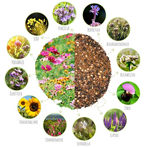 200 g de semillas de flores de prado para un pasto colorido de abejas - Mezcla de semillas de flores silvestres, llamativas y ricas en néctar para abejas y mariposas (guía electrónica GRATIS incluida)