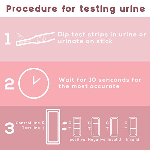 5 Pruebas de Embarazo Hcg, Test de Embarazo 10miu/Ml Formato Midstream Alta Sensibilidad y Fácil Uso