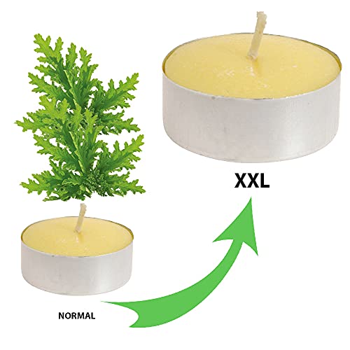 8 Velas de Citronela Antimosquitos Grandes XXL Para Exterior e Interior, Candelitas Citronella Perfectas Para Jardín, Velas XXL Antimosquitos Perfumadas de Citronela