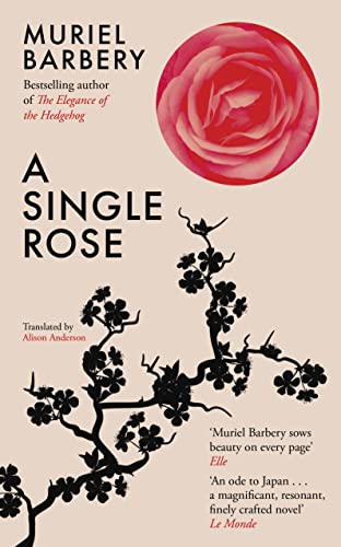 A Single Rose