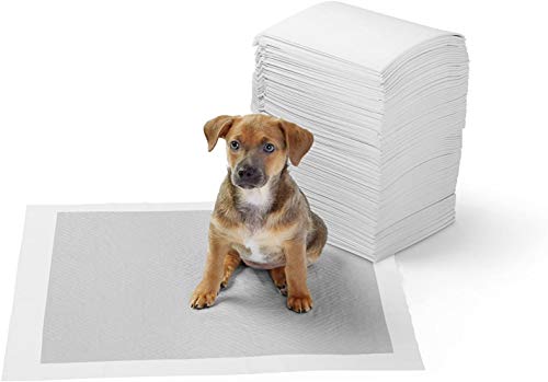 Amazon Basics - Empapadores de adiestramiento para perros, carbón, normal, 120 unidades
