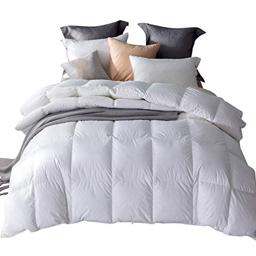 Amazon Brand-Umi Edredón nórdico de Pluma y plumón de Ganso Blanco con Funda 100% de algodón Impermeable (155X220cm-cama 90, Blanco-Invierno)