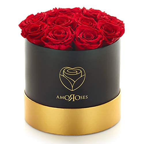 Amoroses 12 rosas reales estabilizadas que duran años - Flores preservadas Ideas para regalos, Rosas Eternas para Ocasiones Especiales (Caja Negra con Rosas Rojas)