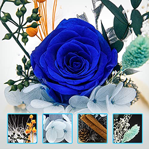 AOKKR Rosa Eterna Natural Preservada, Flores Preservadas con Luz LED, Rosas Azules Hecho a Mano, Caja de Regalo, Románticos Regalos Originales para Mujer para San Valentin Aniversario Cumpleaños