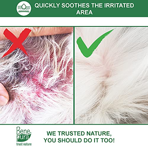 Bene Pura Trust Nature Bálsamo para Mascotas 100% Natural Anti-irritación - para Patas, Nariz y Piel - para Perros y Gatos