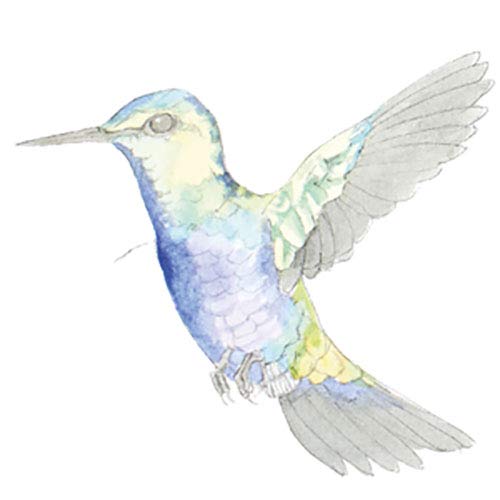 BIRDS Watercolor Art Pad for me: 15 beautiful artworks for you to paint