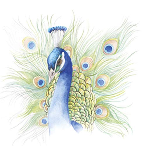 BIRDS Watercolor Art Pad for me: 15 beautiful artworks for you to paint