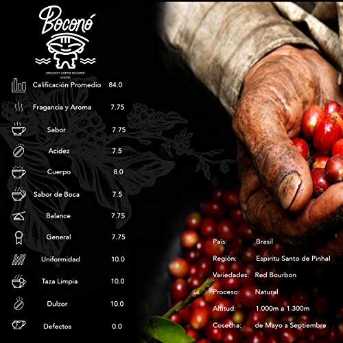 Boconó Specialty Coffee Brasil Café De Especialidad En Grano 200 g Arábica Tueste Natural Varietal Bourbon Rojo Artesano Espresso V60 Chemex Aeropress Kalita Trazabilidad completa Formato Pequeño