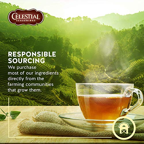 Celestial Seasonings Bengal Spices Tea 20 Bag (order 6 for trade outer)