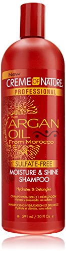 Creme Of Nature Argan Oil Moisture & Shine Champú 591 Ml (sin Sulfatos)