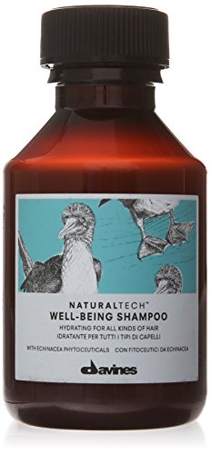 Davines Natural Tech Well-Being Champú - 100 ml