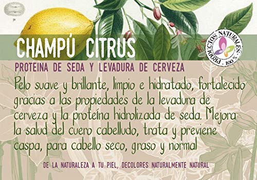 Decolores | Champú Natural sin Químicos, Siliconas ni Sulfatos | CITRUS Champú Ecológico para Pelo suave y Sedoso | Cuida del Cabello | Pelo Fuerte, Sedoso y Nutrido