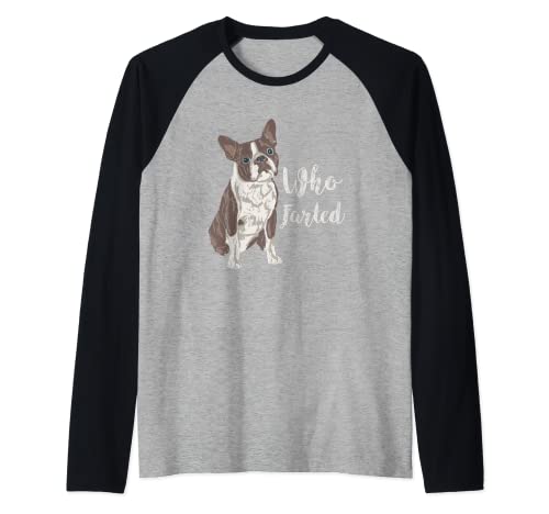 Divertido dicho de perro - Who Farted? - El Boston Terrier Camiseta Manga Raglan