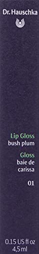 Dr. Hauschka Gloss 01 Bush Plum 1 unidad 4.5 ml