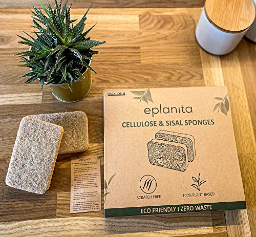 eplanita Esponjas naturales a base de plantas (paquete de 6), antiarañazos, biodegradables ecológicos para cocina y baño