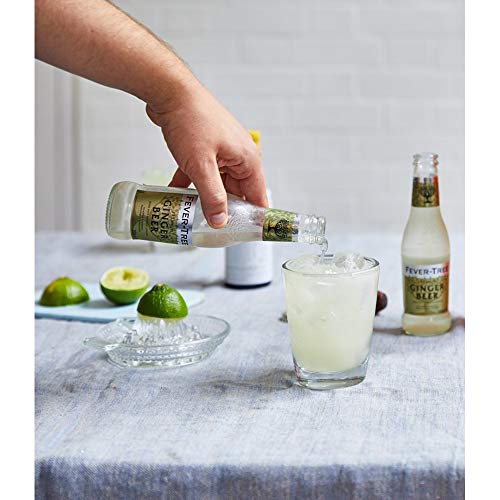 Fever-Tree Ginger Beer Refrescos - Paquete de 24 x 200 ml - Total: 4800 ml