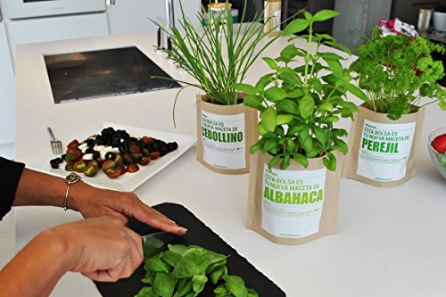 Garden Pocket - Kit de Cultivo de CILANTRO - Bolsa Maceta