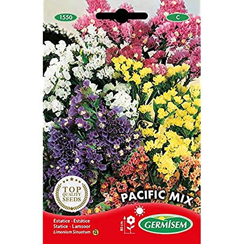 Germisem Pacific Mix Semillas de Statice 0.5 g (EC1550)