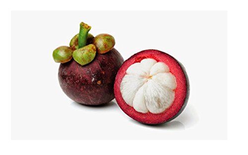 ¡Gran venta! Semillas 20pcs familia Clusiaceae Garcinia mangostana Árbol de hoja perenne púrpura mangostán Frutas Semillas Rate 95% Jardín de Plantas