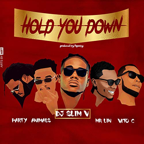 Hold You Down (feat. Vito C, Mr Lin & de PartyAnimals)