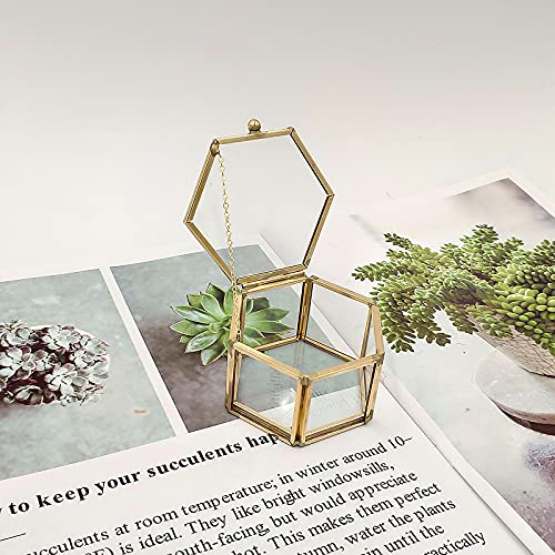 Joyero vintage de cristal – Geometrical Clear Jewelry Organize Holder, para guardar bebidas, anillos, pendientes, cofre